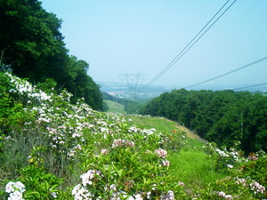 Appalachian Trail Power line Appalachian Trail Power line