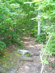 Appalachian Trail Appalachian Trail