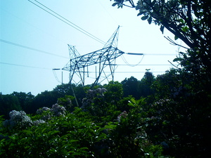 Appalachian Trail Power line Appalachian Trail Power line