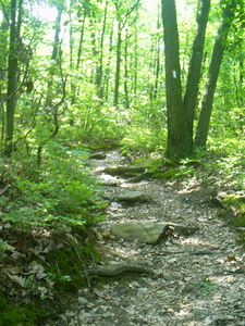 Appalachian Trail Appalachian Trail