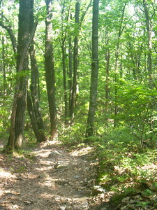 Appalachian Trail Appalachian Trail