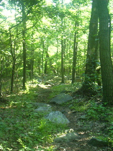Appalachian Trail Appalachian Trail
