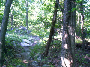 Appalachian Trail Appalachian Trail