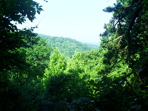 Appalachian Trail Appalachian Trail