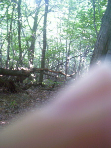 Appalachian Trail Appalachian Trail