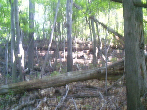 Appalachian Trail Appalachian Trail