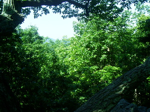 Appalachian Trail Appalachian Trail