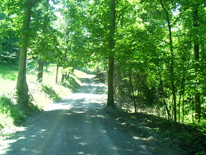 Appalachian Trail Appalachian Trail