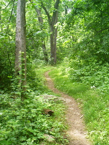 Appalachian Trail Appalachian Trail