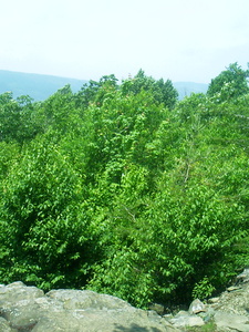 Appalachian Trail Appalachian Trail