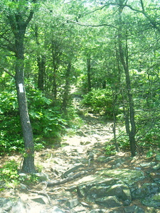 Appalachian Trail Appalachian Trail