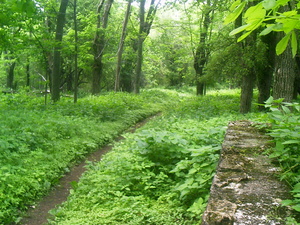 Appalachian Trail Appalachian Trail