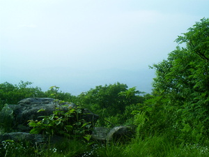 Appalachian Trail Appalachian Trail