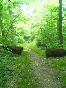 Appalachian Trail Appalachian Trail