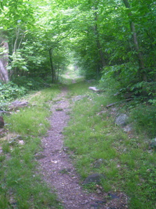 Appalachian Trail Appalachian Trail