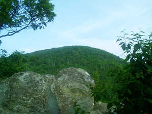Appalachian Trail Appalachian Trail