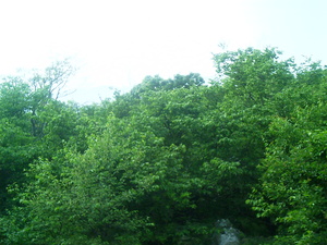 Appalachian Trail Appalachian Trail