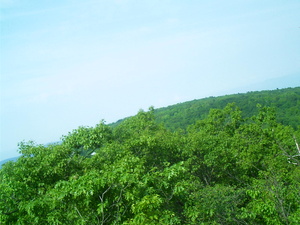 Appalachian Trail Appalachian Trail