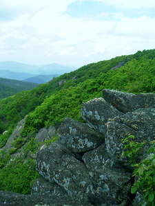 Appalachian Trail 