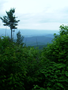 Appalachian Trail 