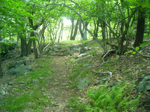 Appalachian Trail 