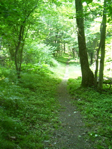 Appalachian Trail 