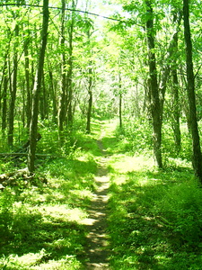 Appalachian Trail 