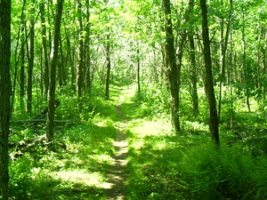 Appalachian Trail 
