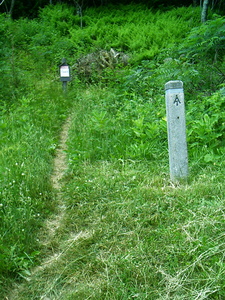 Appalachian Trail 