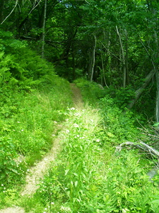 Appalachian Trail 