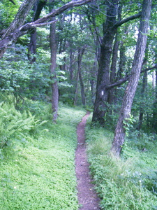 Appalachian Trail 