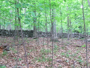 Appalachian Trail Stone Wall Appalachian Trail Stone Wall