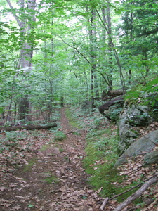 Appalachian Trail Appalachian Trail