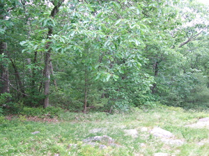 Appalachian Trail Appalachian Trail