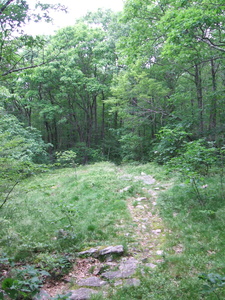 Appalachian Trail Appalachian Trail