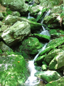 Appalachian Trail Appalachian Trail