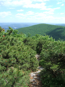 Appalachian Trail Appalachian Trail