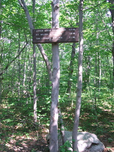 Appalachian Trail At Mount Wilcox North Lean-to Appalachian Trail At Mount Wilcox North Lean-to
