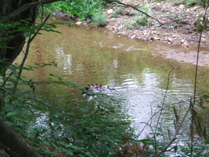 Appalachian Trail Appalachian Trail