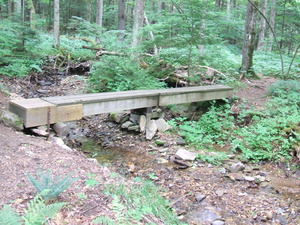 Appalachian Trail (42.234410, -73.196188) Appalachian Trail (42.234410, -73.196188)