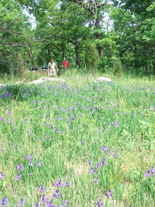 Appalachian Trail Gary & Jamie Appalachian Trail Gary & Jamie