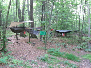 Appalachian Trail Louis', Gary's, & Jamie's Hammocks at Brink Road Shelter Appalachian Trail Louis', Gary's, & Jamie's Hammocks at Brink Road Shelter