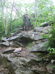 Appalachian Trail Jamie Appalachian Trail Jamie