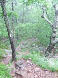 Appalachian Trail Appalachian Trail