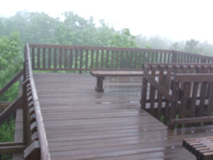 Appalachian Trail Observation Platform (41.316756, -74.664560) Appalachian Trail Observation Platform (41.316756, -74.664560)