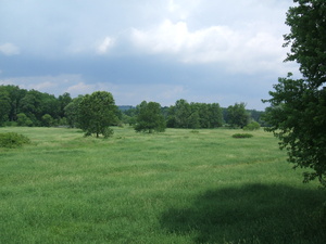 Appalachian Trail Marsh, Walkill River Wildlife Preserve (41.237153, -74.473021) Appalachian Trail Marsh, Walkill River Wildlife Preserve (41.237153, -74.473021)