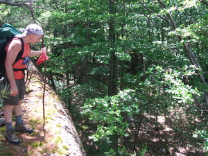 Appalachian Trail Jamie Appalachian Trail Jamie