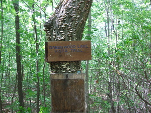 Appalachian Trail Greenwood Lake Trial (or Trail?) Appalachian Trail Greenwood Lake Trial (or Trail?)