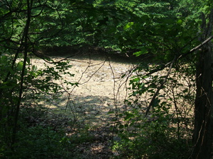 Appalachian Trail Dry Lake Appalachian Trail Dry Lake