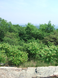 Appalachian Trail Appalachian Trail